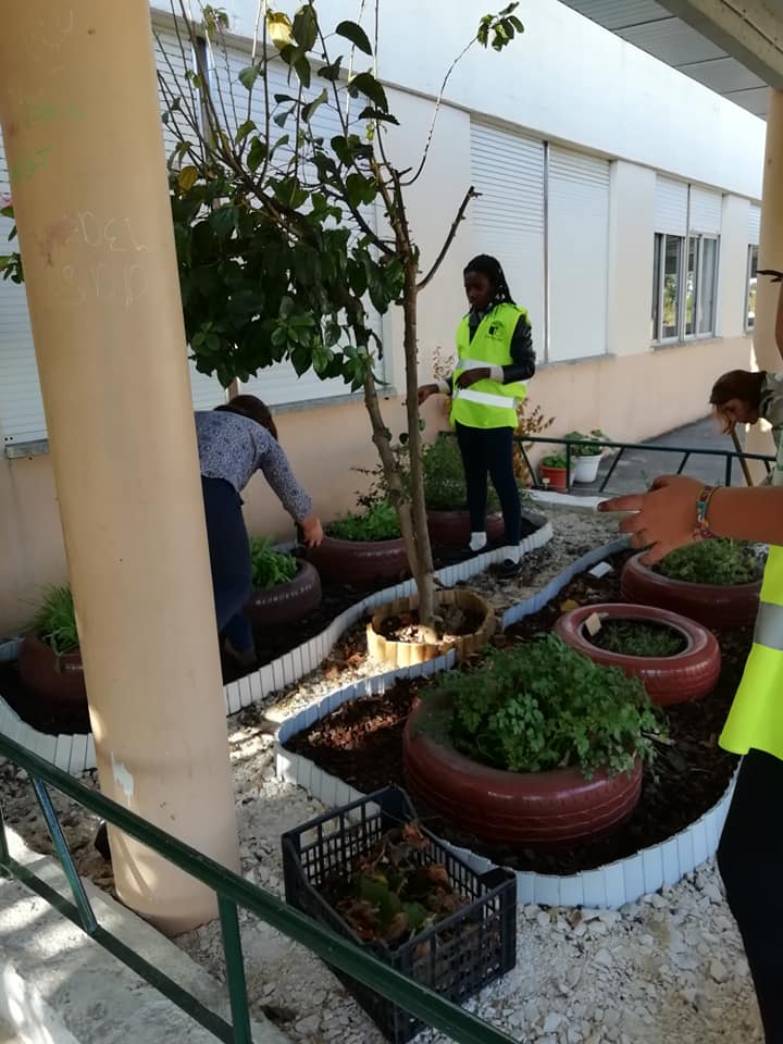 A foto representa a brigada da cantina a plantar algumas aromáticas nos canteiros para uso na própria cantina da escola.