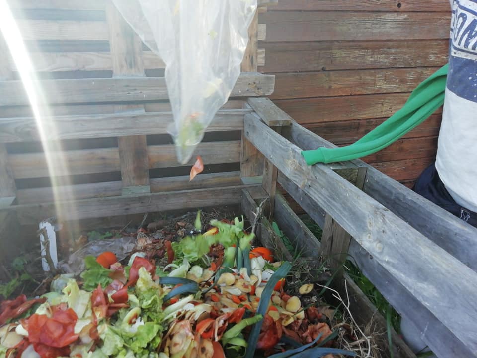 A foto representa o nosso compostor na escola. É nele que a brigada da cantina deposita os restos de vegetais provenientes da cantina.