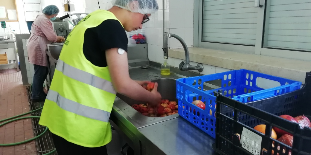 A foto representa um dos aluno da Brigada da Cantina a escolher as maçãs sãs das podres e a lavá-las para serem servidas no almoço.